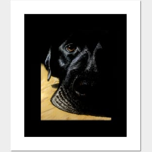 Black dog Posters and Art